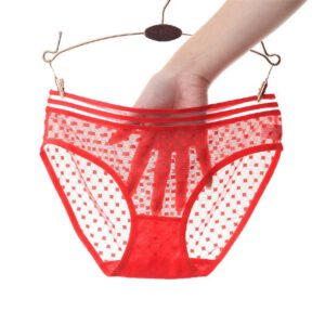 Women Panties Sexy Underwear Sexy Lace Slim Transparent Panties Black Perspective Thong Cotton Panty Black Red Underwear W3