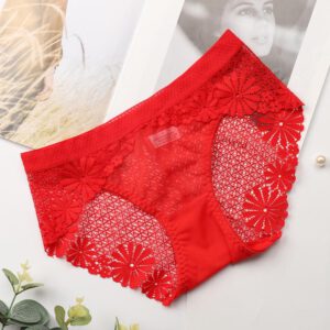 Woman Lace Panties Sexy Hollow Lace Transparent Briefs Middle Waist Lingerie Underwear Soft Breathable For 85-130 Sexy Beauty