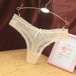 Women Porn Lingerie Sexy Underwear sheer lace low waist transparent panties thong sexy Panties D91206